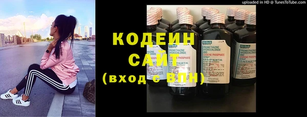 ГАЛЛЮЦИНОГЕННЫЕ ГРИБЫ Арсеньев