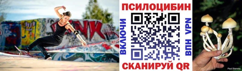 где найти наркотики  Магас  Галлюциногенные грибы мухоморы 